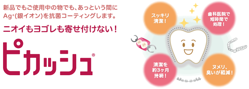 ピカッシュとは